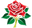 Lancashire Women