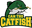 Can Tho Catfish