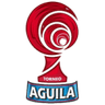 Primera B